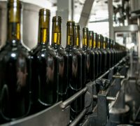 pexels-lucian-pirvu-2565857-4176427 (1)